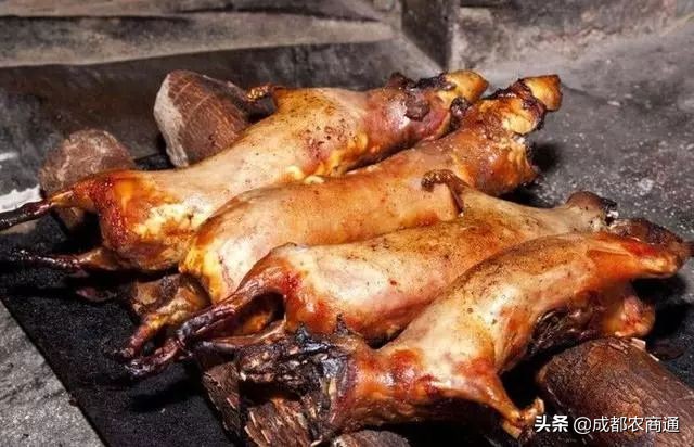 防治鼠害,鼠害的防治方法