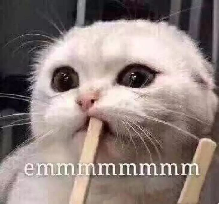 猫咪为什么拉肚子？找对原因就能轻松治愈