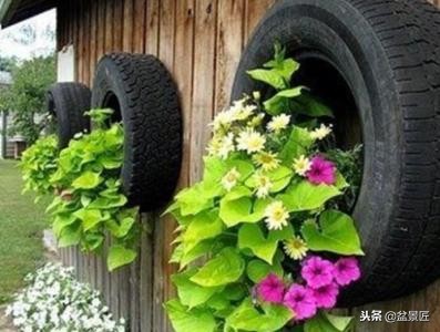 废物改造花盆绿植,旧物改造吊兰花盆