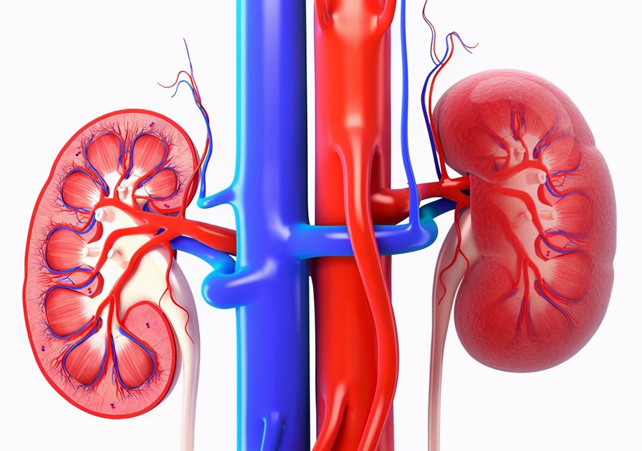 高血压引发的肾病日常注意事项,男高血压怎么调理最好