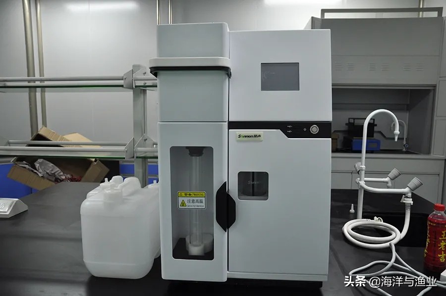 杨村金钱龟养殖基地,惠州李艺金钱龟生态园生意好吗