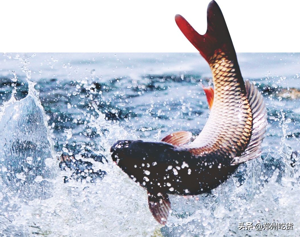 新年新气象，鲤鱼跃龙门！阿五新店3.0版本上线