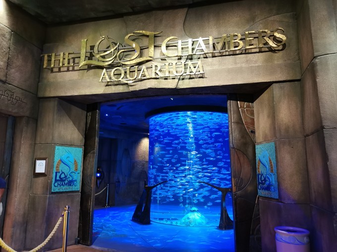 到阿联酋旅行自由行行程,中国到迪拜和埃及旅游攻略路线