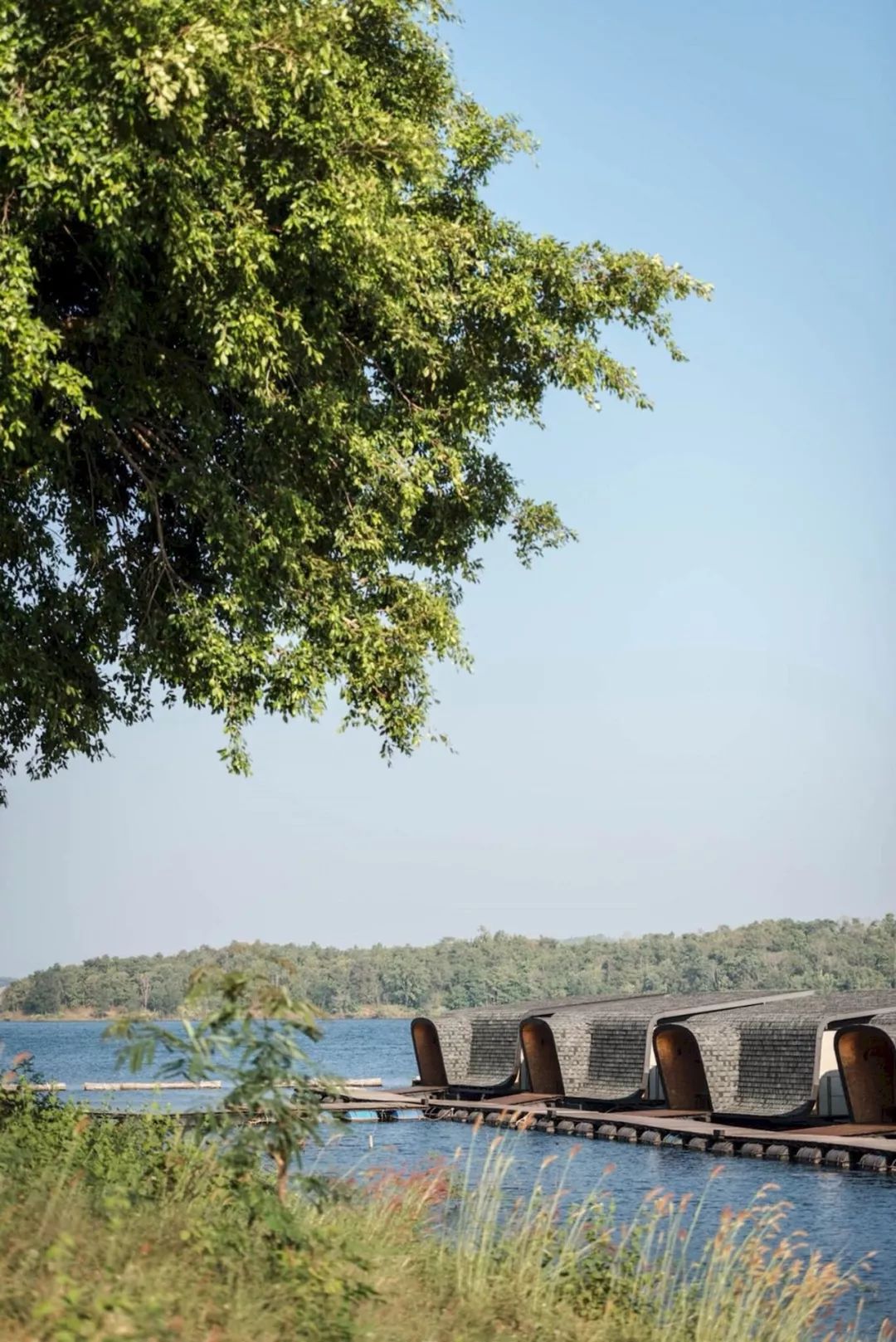 中国船和越南船对比,中国船航vs印度船航