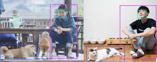 君正t40软件开发,君正t41火焰