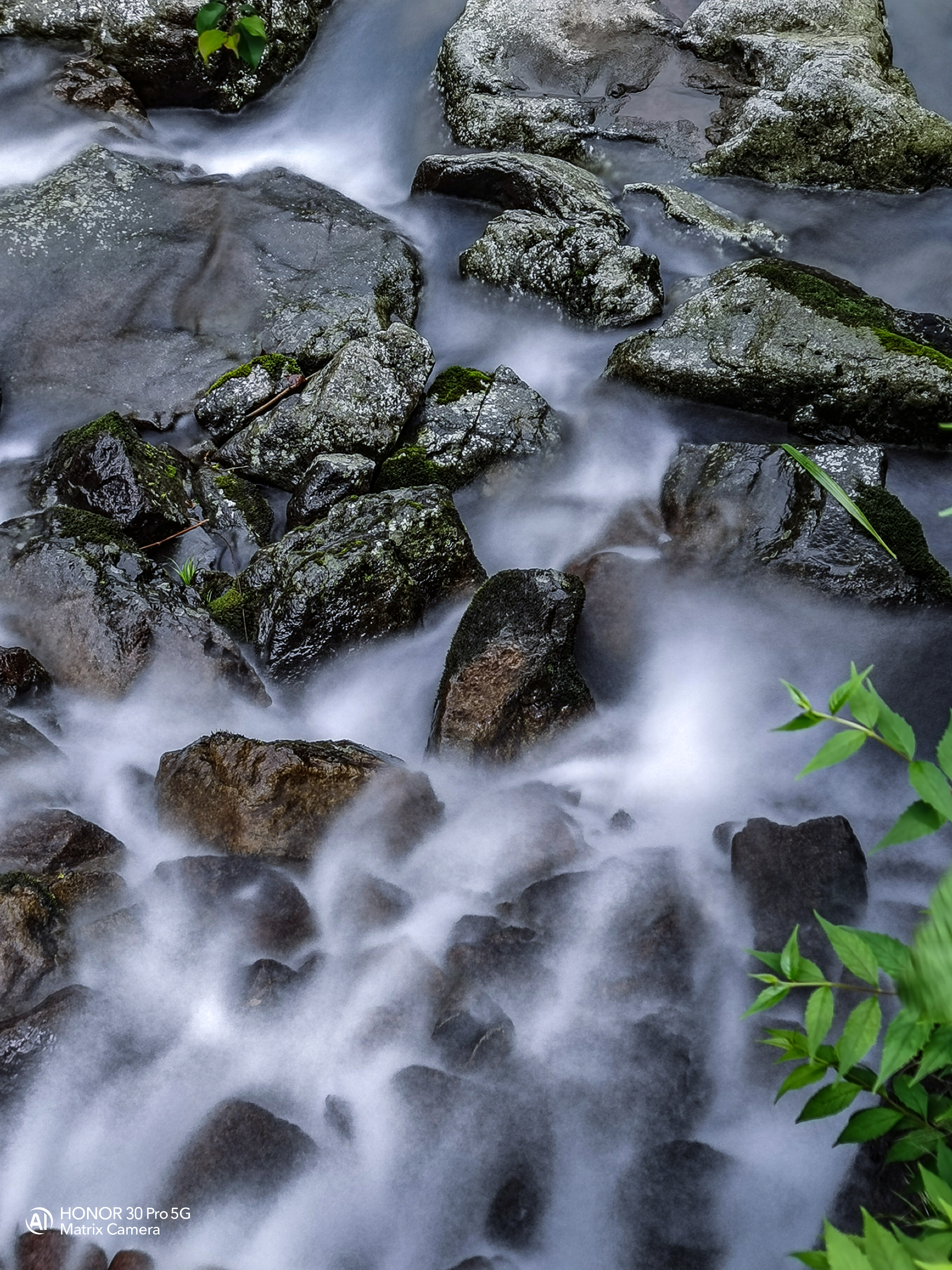 永嘉书院里有书,永嘉书院全部照片