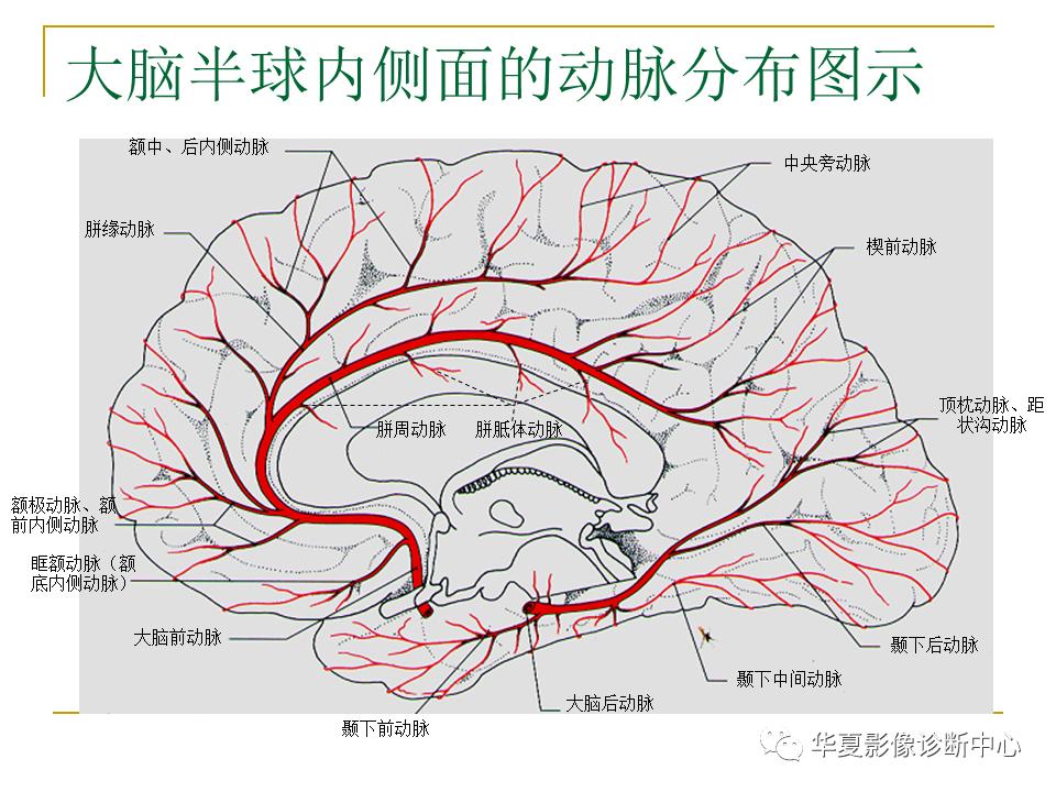 中国人脑立体定向mri应用解剖图谱,脑mri示意图