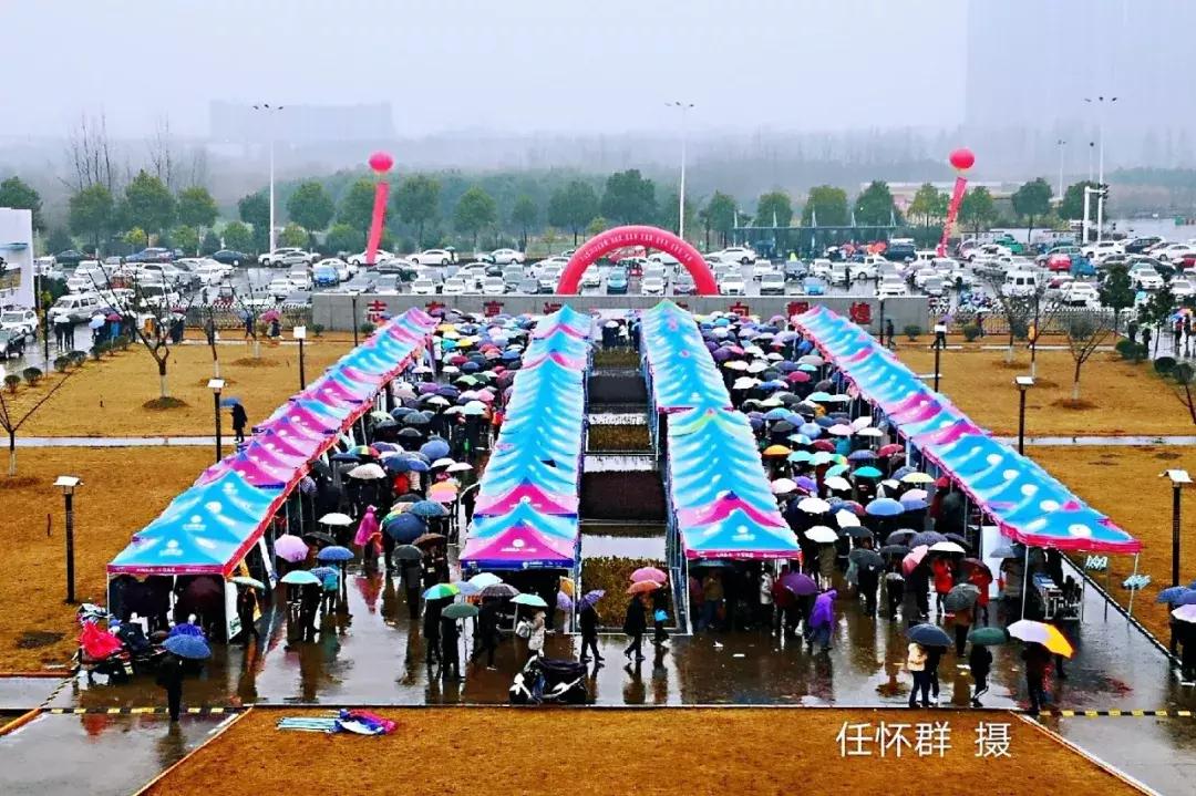 安徽芜湖为你点赞,给安徽省芜湖市点赞