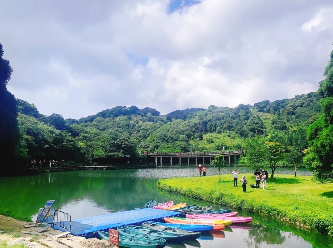 广西森林露营最佳的十大地点,大容山国家森林公园游玩攻略露营