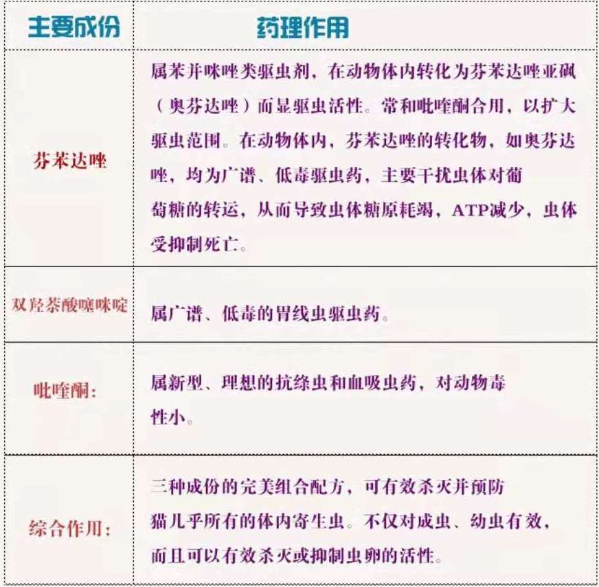 寄生虫感染猫咪,猫咪寄生虫感染了会怎样