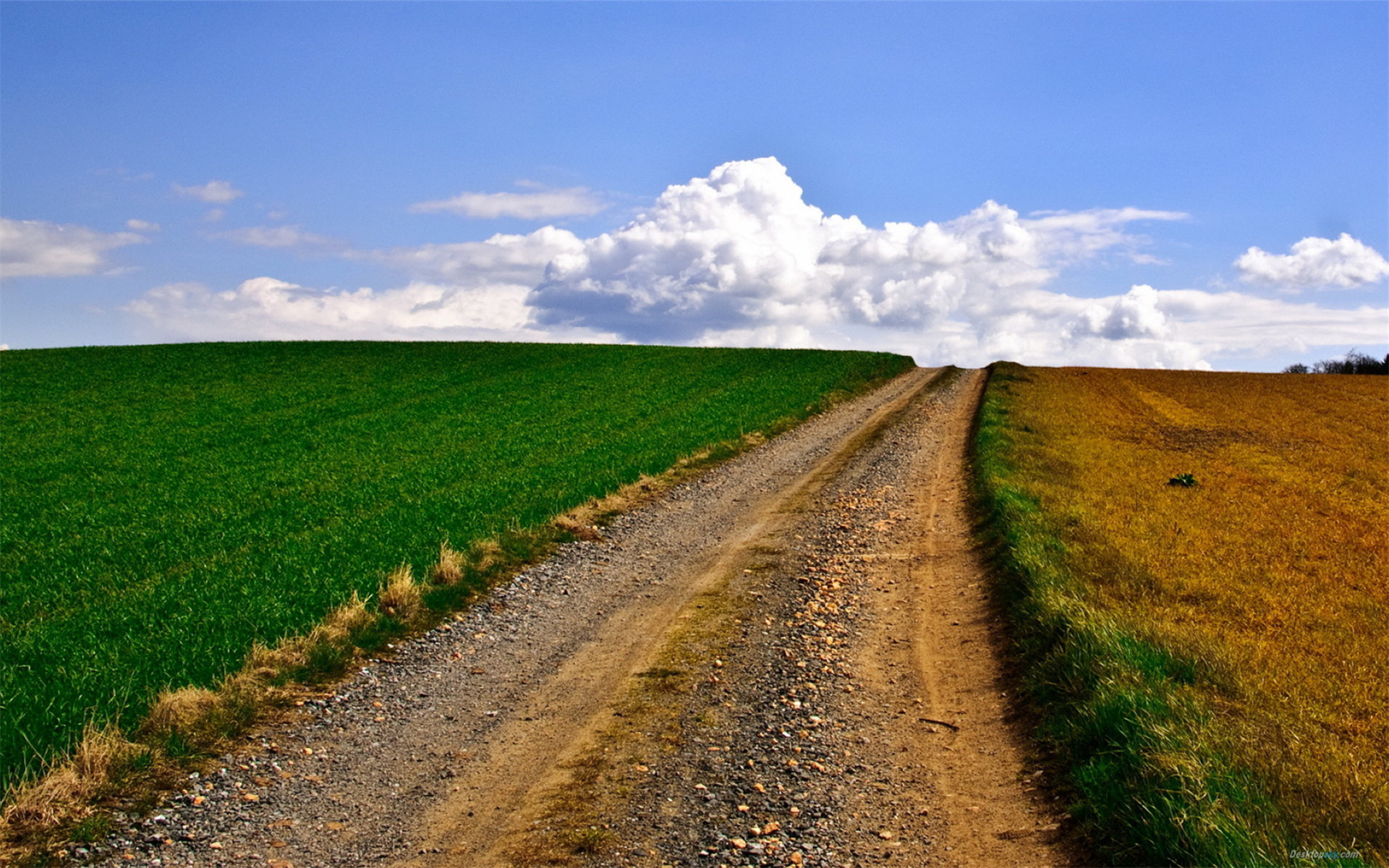 心理学被欺负了怎么反击,心理学为什么被怼反而很舒服