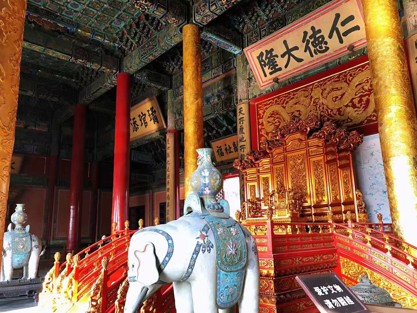 中华田园狮子猫多少钱一只,中华田园猫狮子猫蓝色眼睛