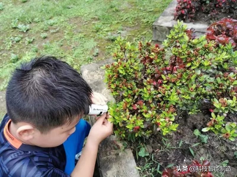 显微镜的价格最便宜的,日本口袋放大120倍显微镜