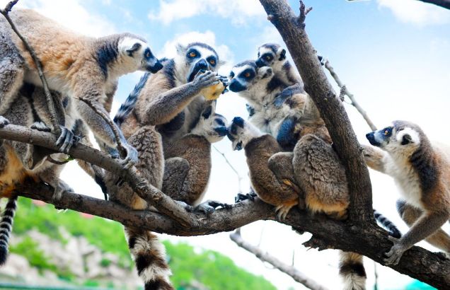 博山区年审,博山年审