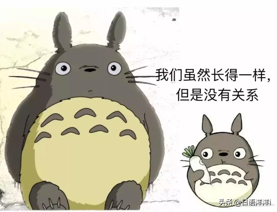 日语相当难怎么说,日语中的汉语发音