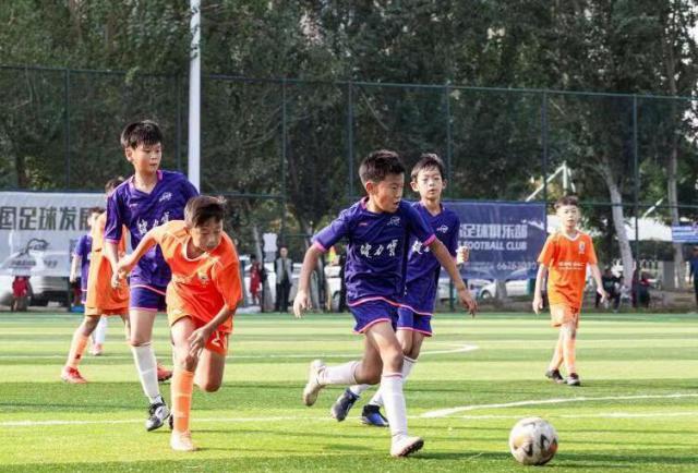 沈阳李铁8号足球公园,沈阳李铁足球公园3号场地