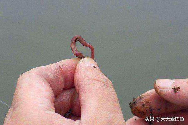 钓鱼无鱼咬钩，要不要换钓位？你还可以这样调整，很快能见效