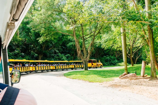 广州长隆旅游攻略自由行详细,广州长隆五一节3天2夜亲子游攻略