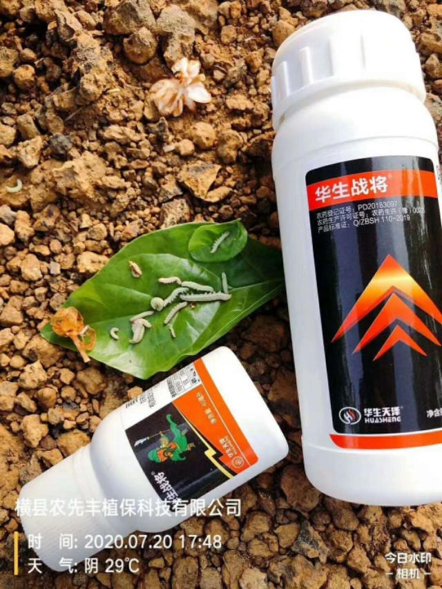 抗性稗草打不死怎么办,抗性超了怎么办