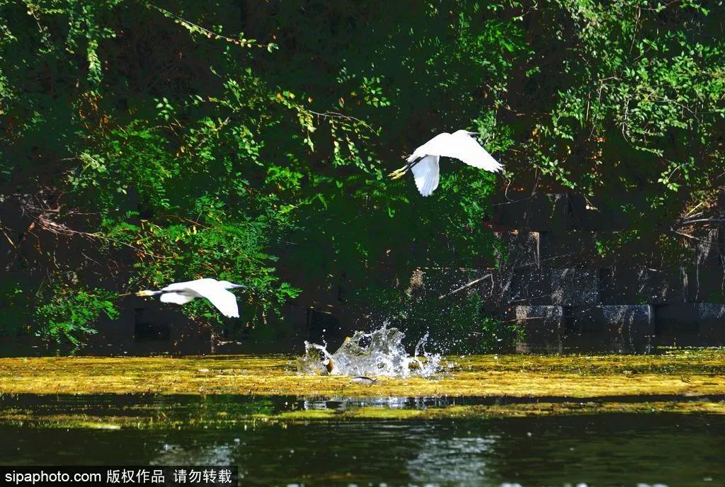 安排一日游攻略,安排旅游必去景点