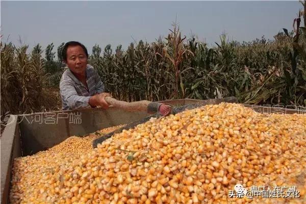 关于河南周口方言的视频,河南周口方言有什么特别之处