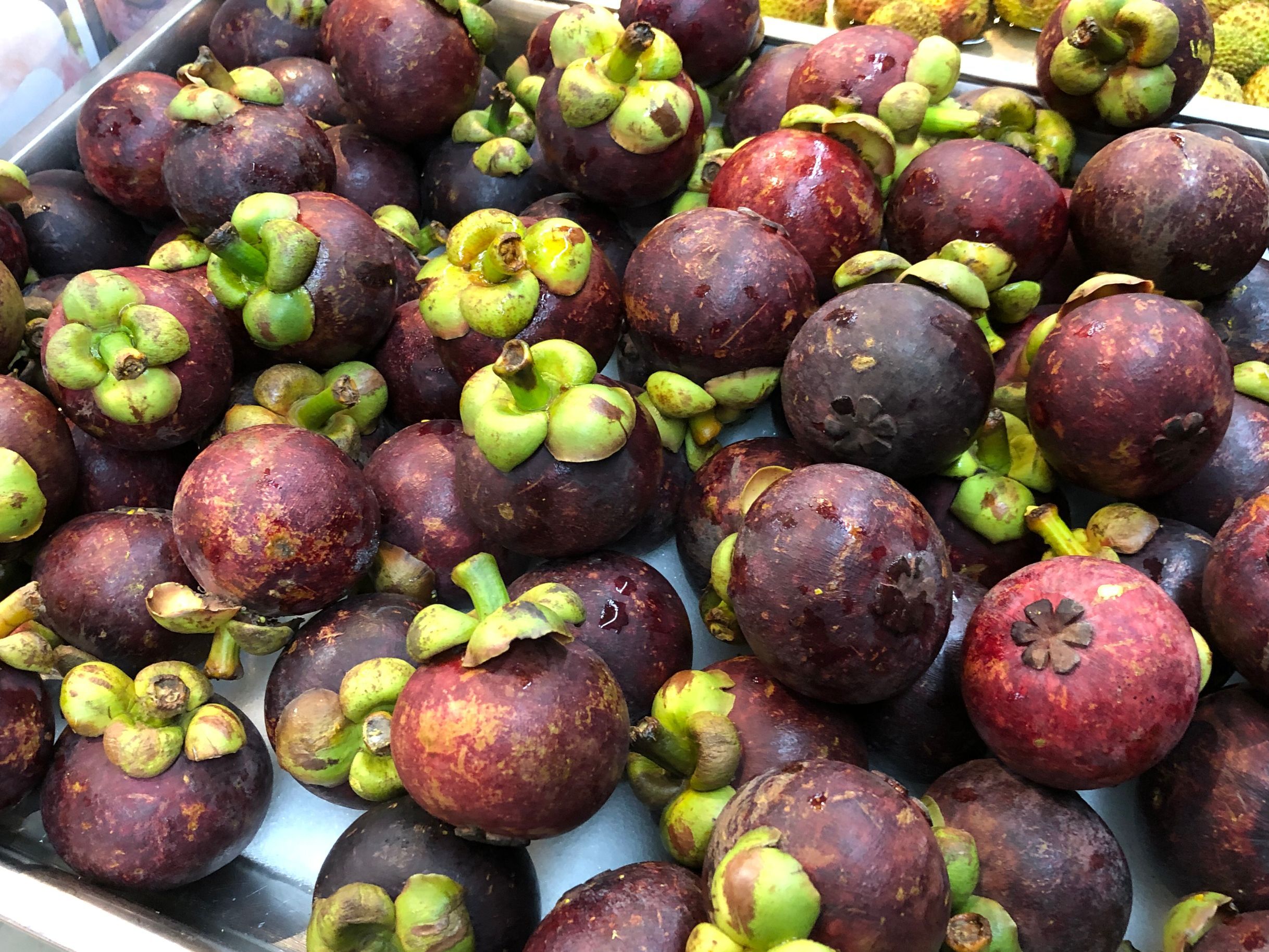 多核山竹怎么挑选,怎么挑多核山竹种子好