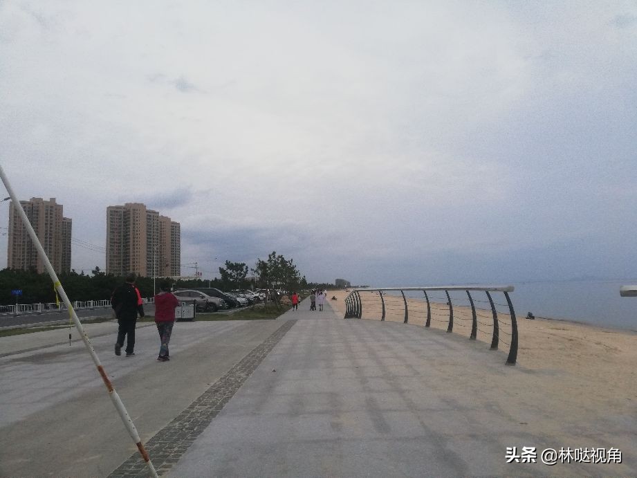 乳山生蚝养殖基地观光,乳山哪里可以养殖牡蛎