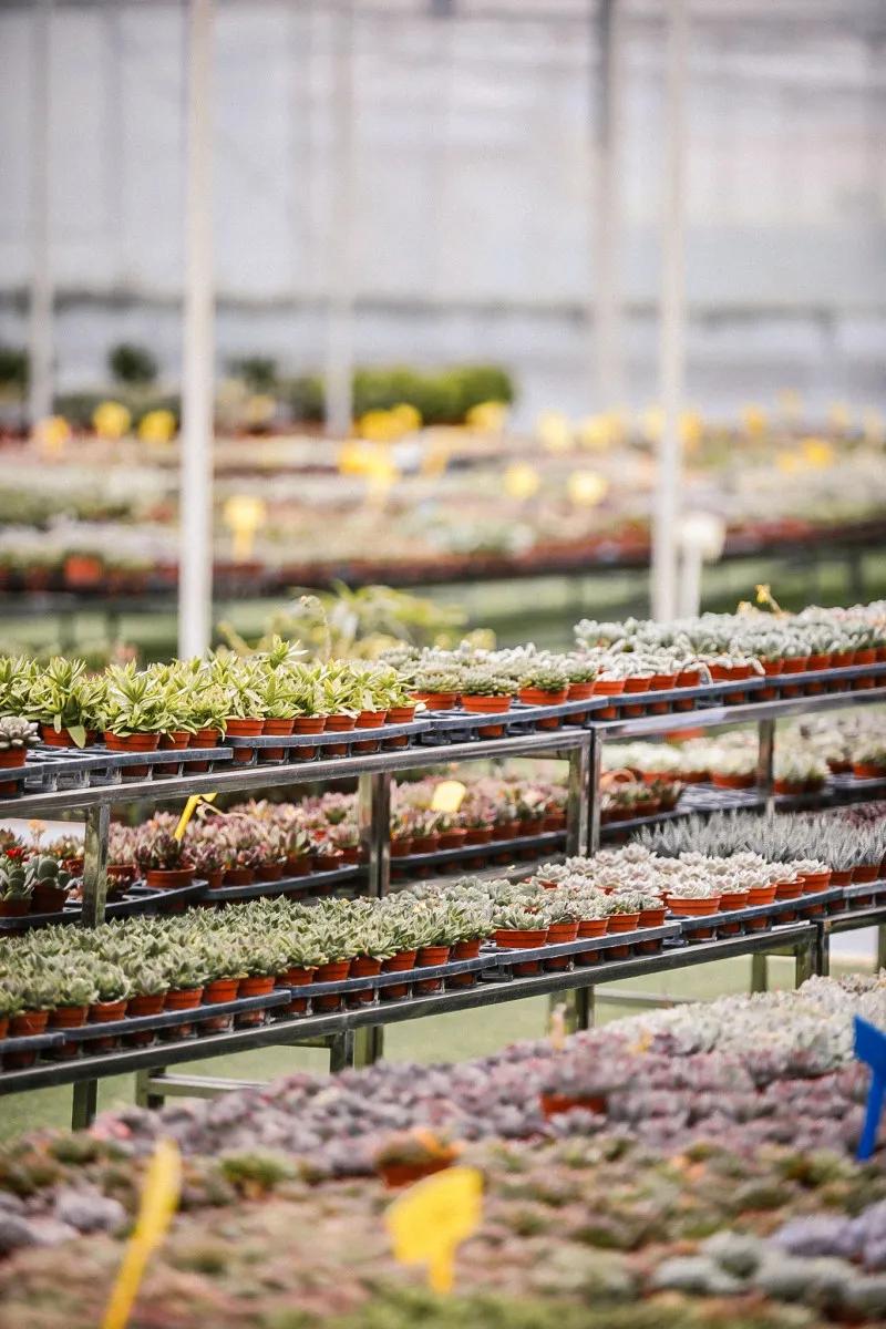 在大山深处幽静绝美的村落,深藏大山中的村落