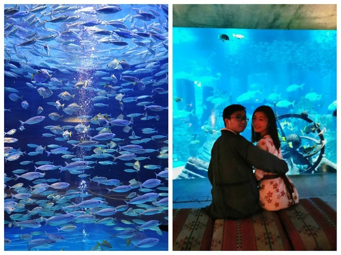 到阿联酋旅行自由行行程,中国到迪拜和埃及旅游攻略路线