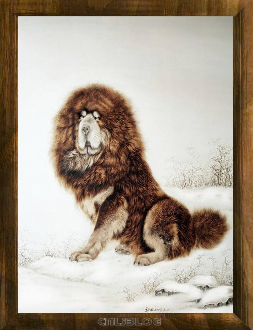 教你画画侧脸,烙画美图