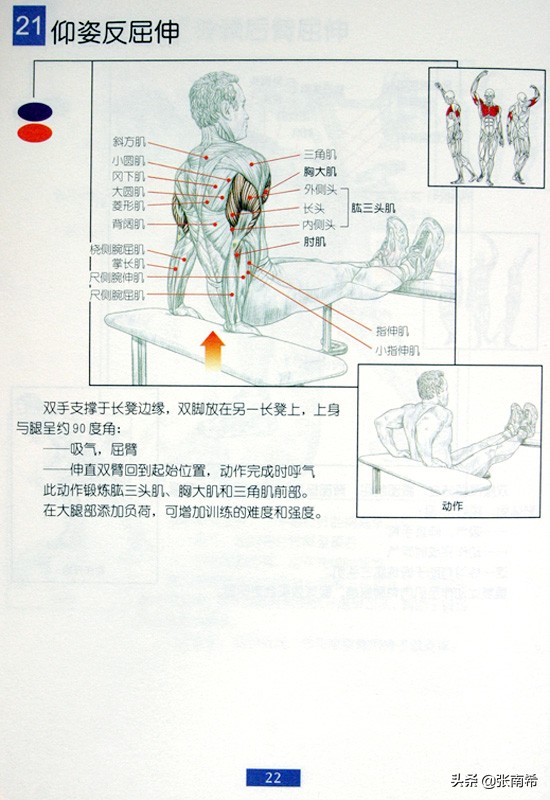 男士健身的进阶之路,男士运动健身全攻略