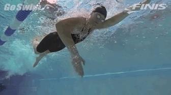 技巧自由泳的划水动作其实很简单,自由泳划水小技巧图解