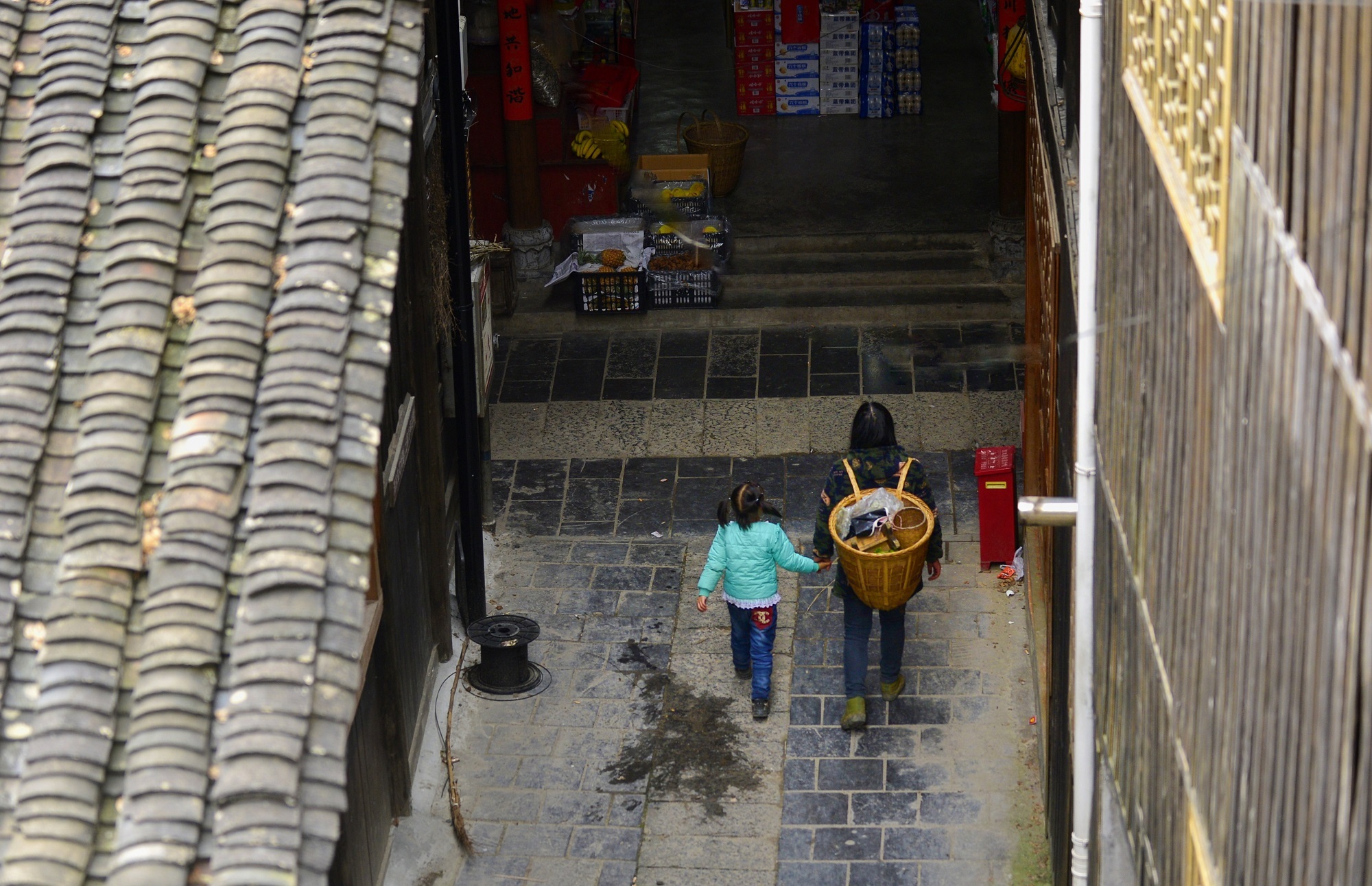 庆阳活化石叫啥,庆阳坝历史