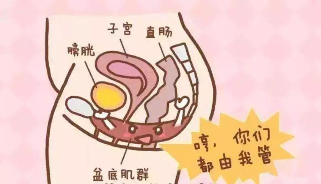 产后盆底肌松弛怎么办？医生分享：孕期产后都可做的盆底肌训练