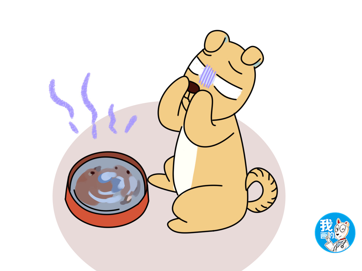 狗狗肠胃炎早期症状及治疗方法,狗狗得肠胃炎的症状及治疗