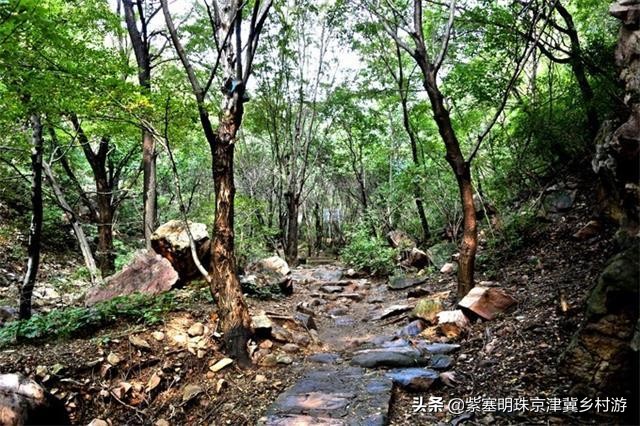 天津紫云水岸香草园在哪,天津市蓟州区紫云水岸草园