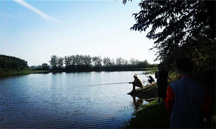 鱼护怎么防止老化,好一点的鱼护有必要吗