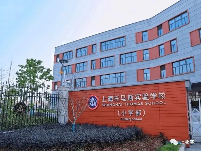 上海2020新增学位,上海各大学2024新增学位点