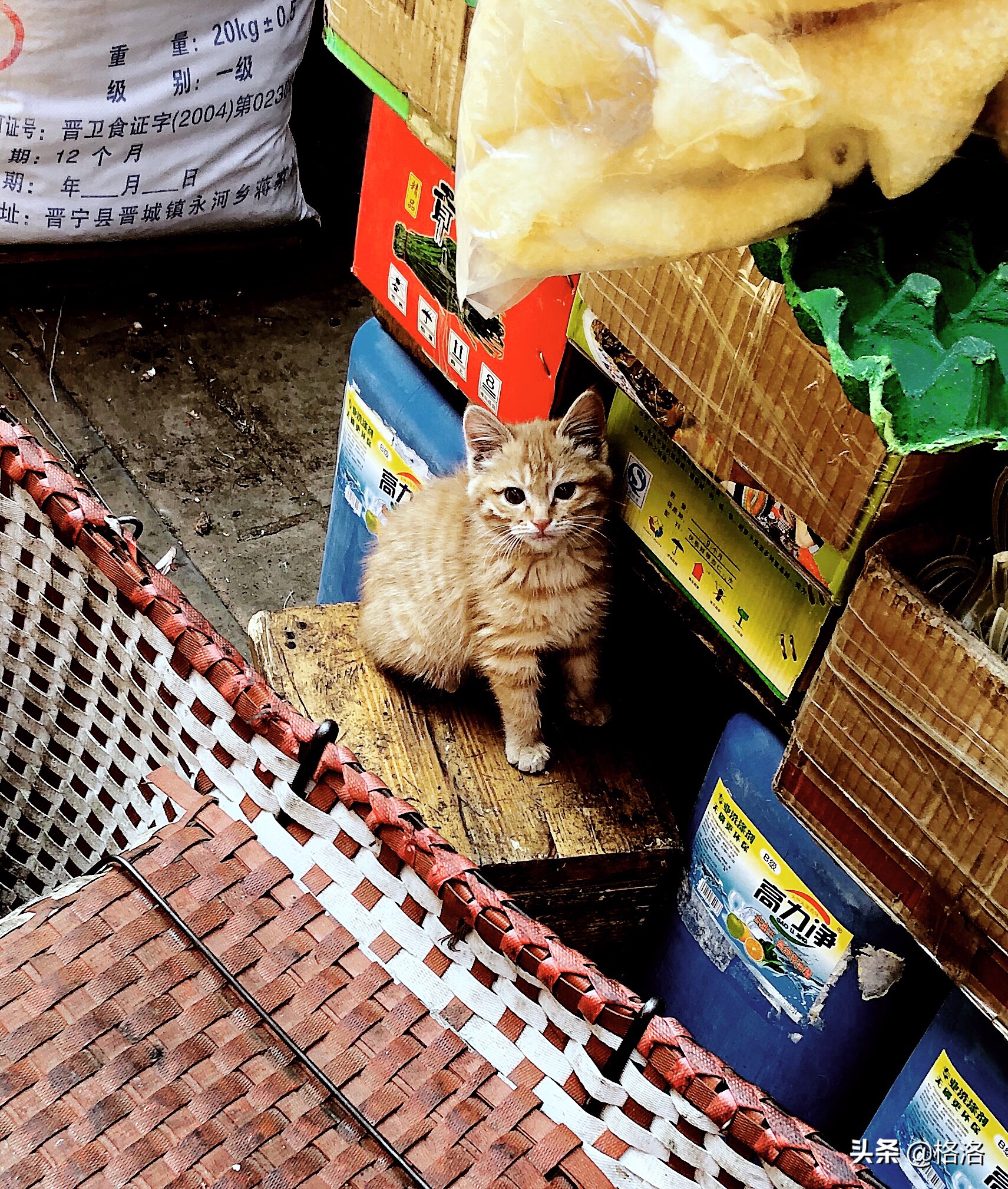 昆明美食二日游自由行攻略,昆明周末休闲吃喝玩乐一日游