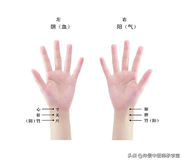 张锡纯讲结脉代脉区别,张锡纯脉法