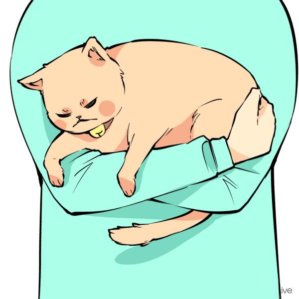 猫咪也会生气的视频,猫咪生气发怒哈气是怎么发出的