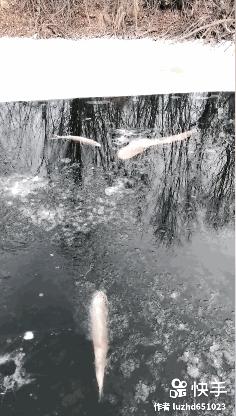 ​在远处和近处之间，有着属于每个人的角落