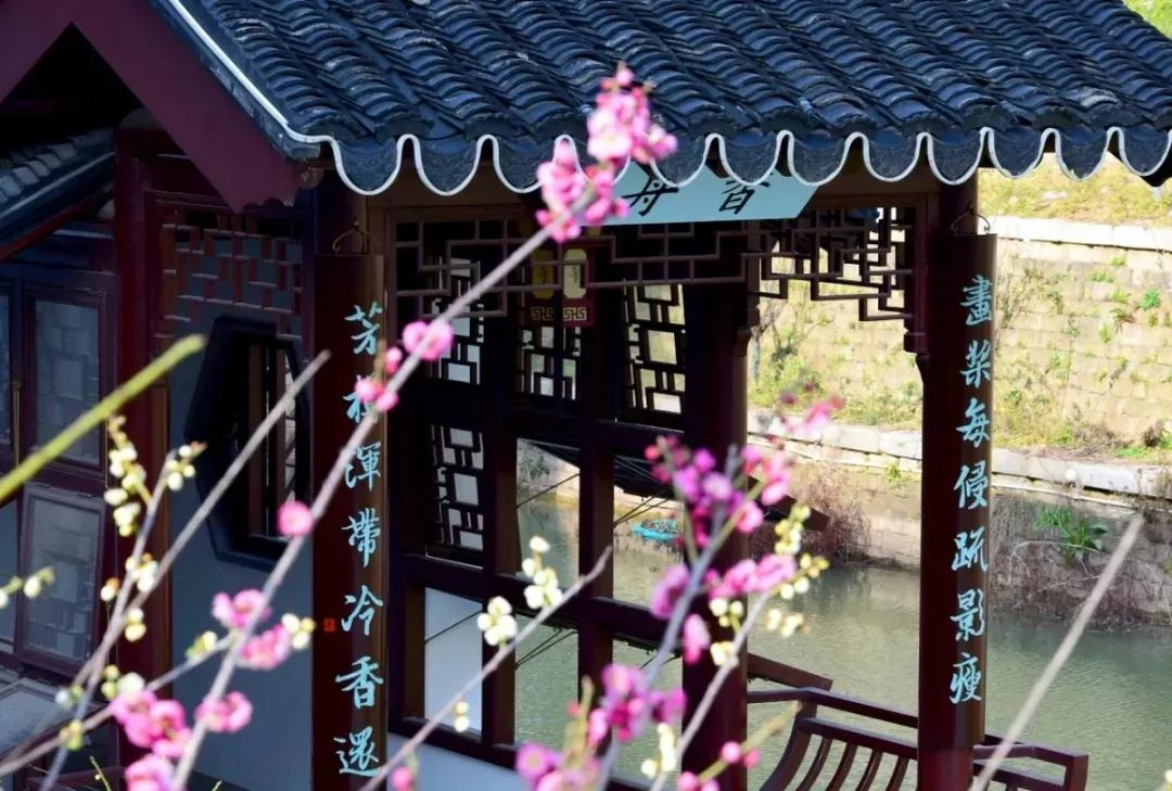 江苏一高校,江苏省四大高校