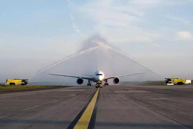 向飞机扔硬币赔12万,飞机扔硬币致航班取消赔偿12万