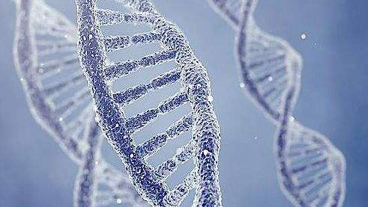 慢慢有了熊猫眼怎么回事,什么原因导致熊猫眼