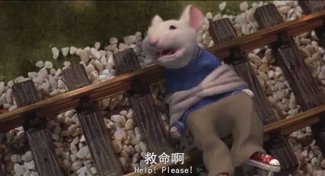 豆瓣八分以上的冷门喜剧片,豆瓣10部评分最高喜剧电影