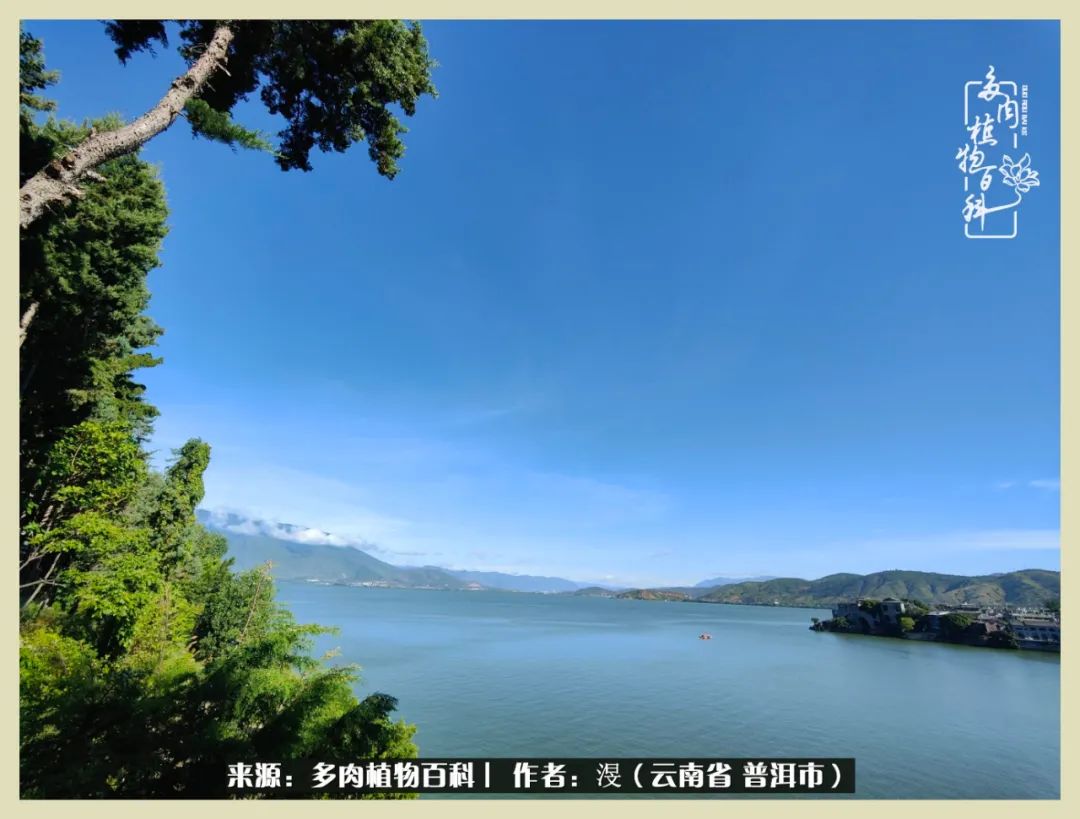 深情不及久伴,厚爱无需多言,择一“爱”,护一生