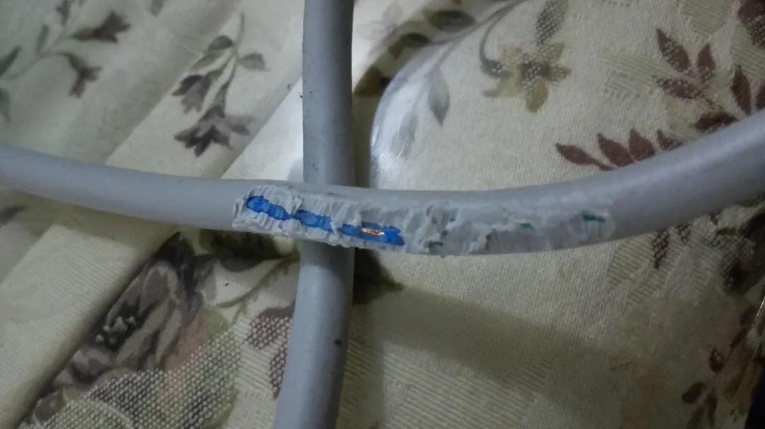 住六楼有老鼠怎么处理,公司办公室有老鼠怎么解决