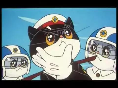 这只黑猫我等了30多年，今天终于断了念想