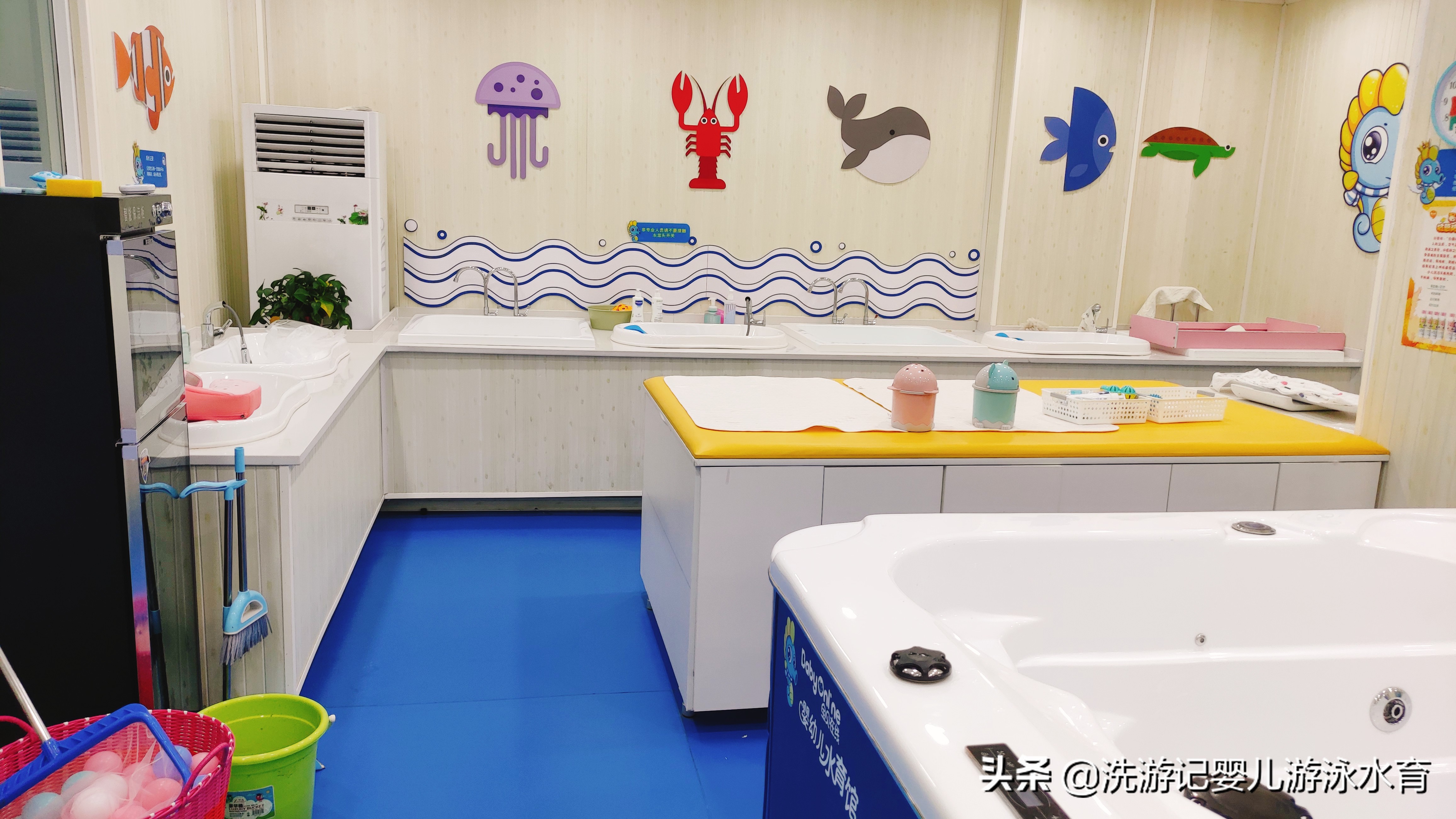 母婴游泳加盟费用多少钱,婴幼儿游泳加盟